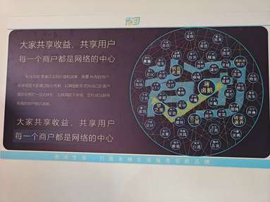 鱼泡网