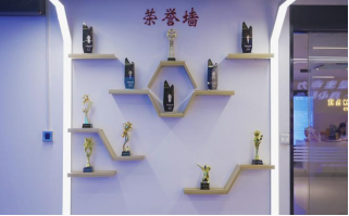 鱼泡网