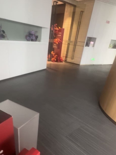 鱼泡网