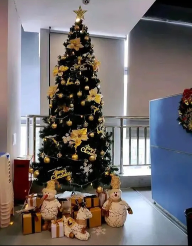 鱼泡网