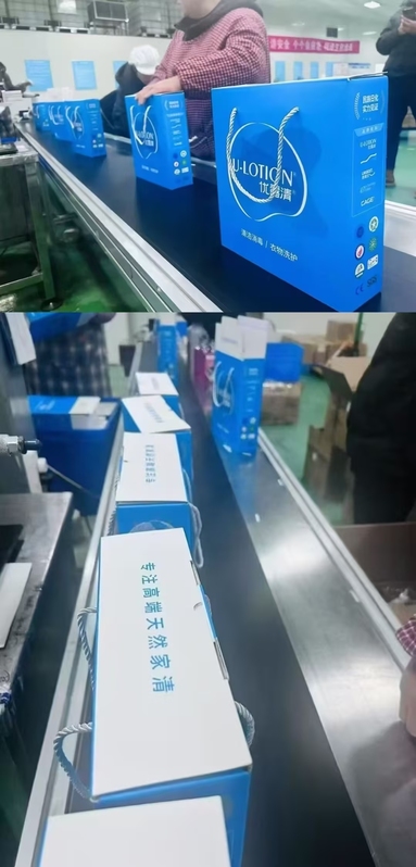鱼泡网