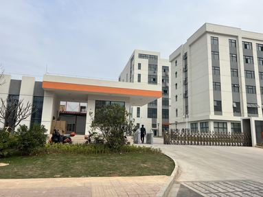 鱼泡网