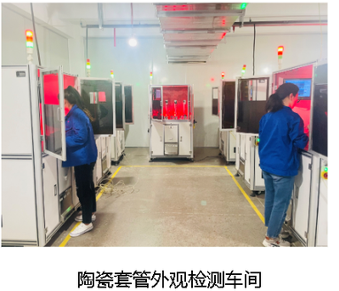 鱼泡网