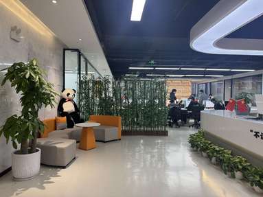 鱼泡网