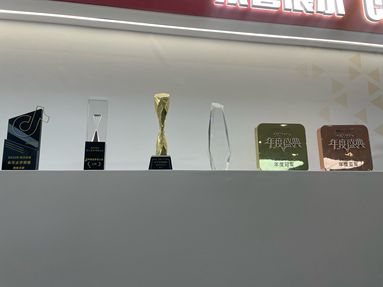 鱼泡网