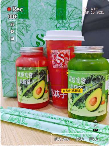 鱼泡网