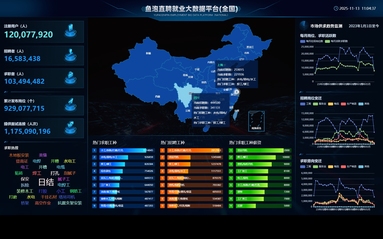 鱼泡网