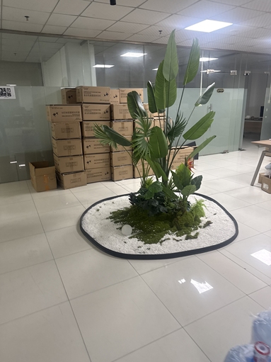 鱼泡网