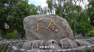 鱼泡网