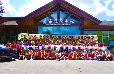 鱼泡网