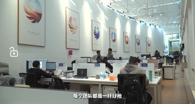 鱼泡网