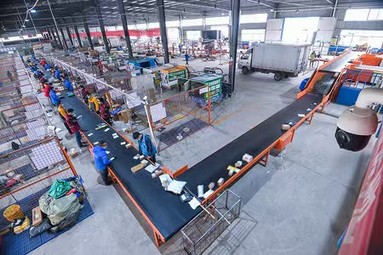 鱼泡网