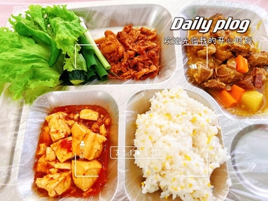 鱼泡网
