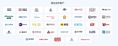 鱼泡网