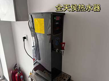 鱼泡网