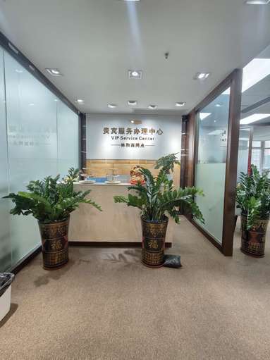 鱼泡网