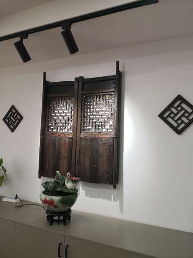 鱼泡网