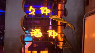 鱼泡网