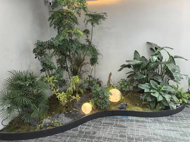 鱼泡网